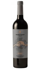 Dominio Fournier Reserva 2015