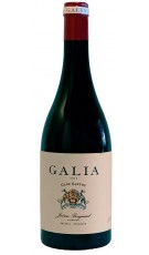 Galia Clos Santuy 2016