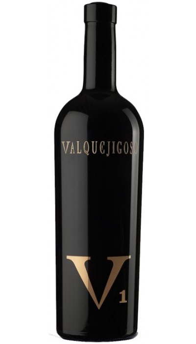 Valquejigoso V1 2008