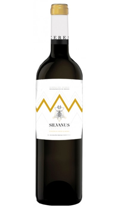 Silvanus 2018