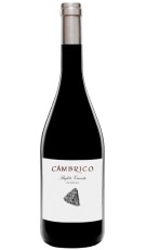 Cámbrico El Pocito 2014