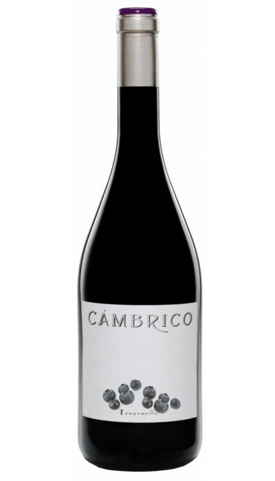 Cámbrico Tempranillo 2012