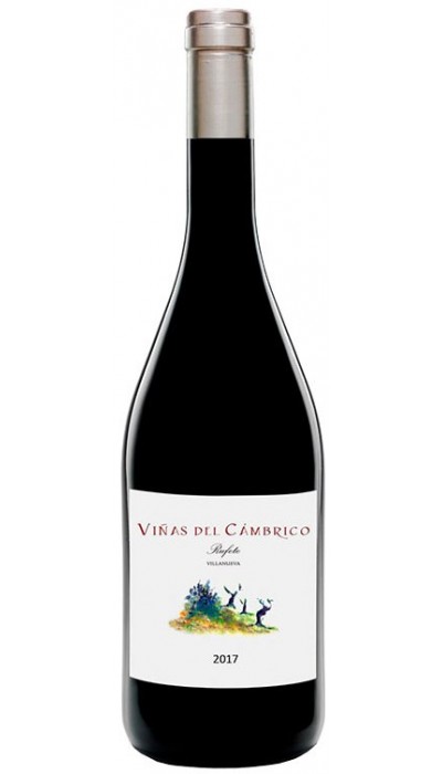 Viñas del Cámbrico Villanueva 2019
