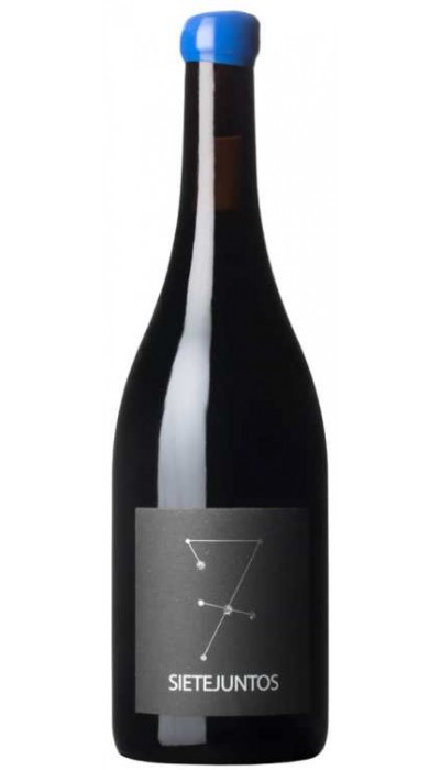 Sietejuntos Arroyuelos Tempranillo 2019