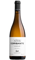 Attis Coribante 2017