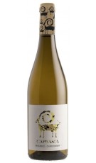 Caprasia Blanco 2022