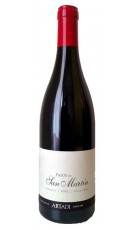 Pasos de San Martín Magnum 2019