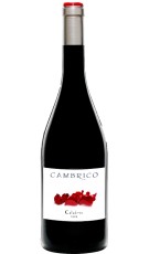 Cámbrico Calabres Magnum 2010