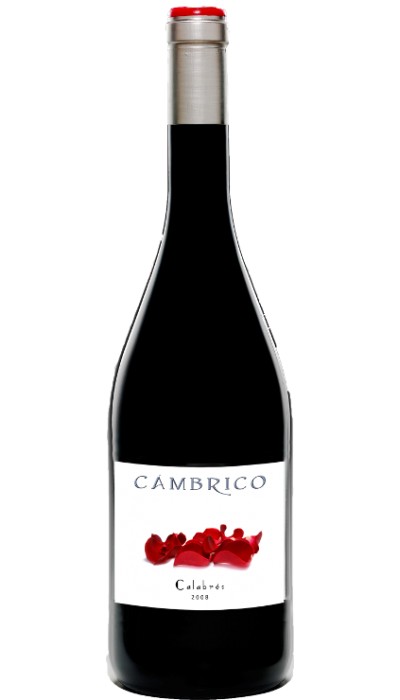 Cámbrico Calabres Mágnum