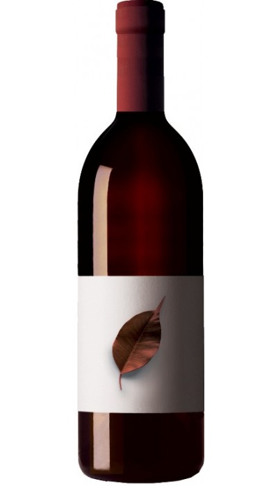 Pedralonga 2015