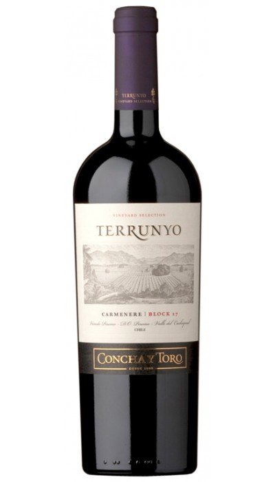 Terrunyo Carmenere