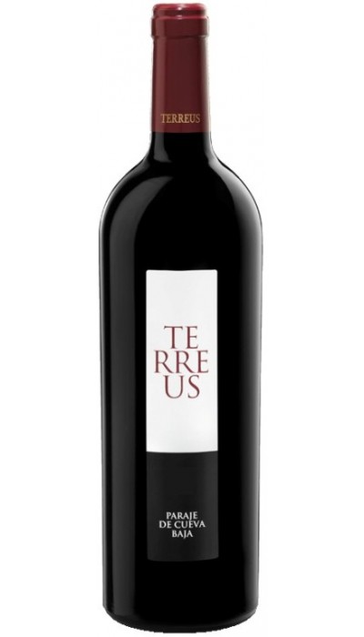 Mauro Terreus