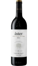 Áster Finca el Otero 2018