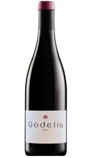 Godelia Tinto 2013