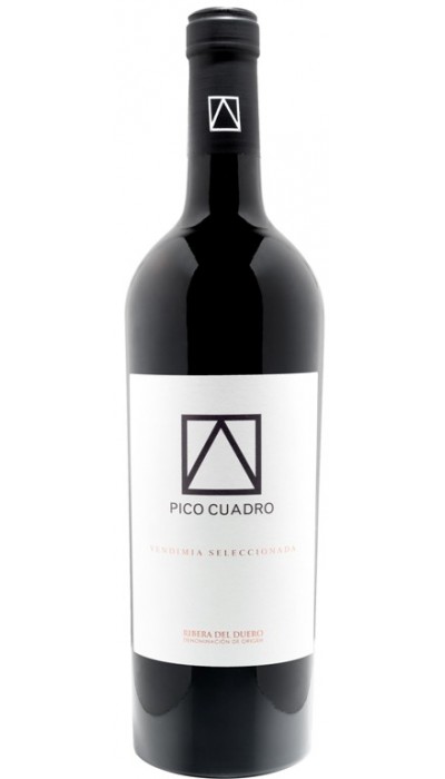 Pico Cuadro Vendimia Seleccionada 2015