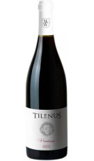 Tilenus Vendimia 2017
