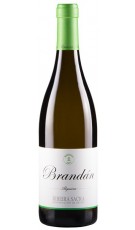 Algueira Brandán 2018